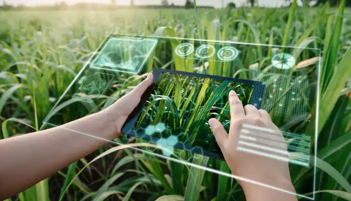 The Future of Food: How AI is Revolutionizing Agriculture and Food Production